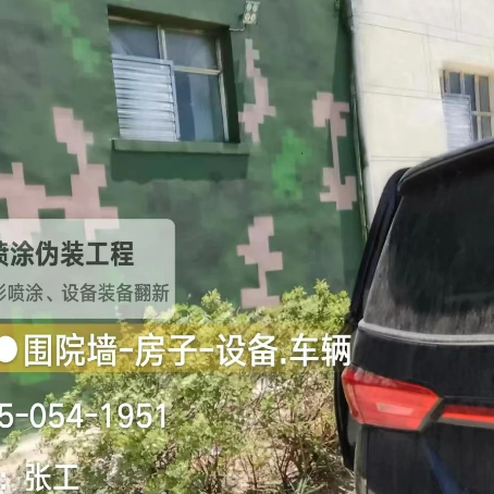 巴音郭楞数码迷彩漆施工